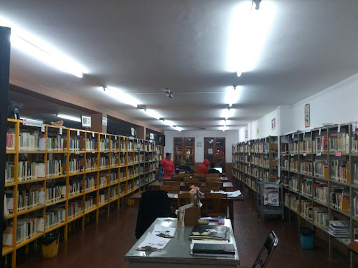 Biblioteca Pública Municipal, Pedro Moreno 12, Centro, 47000 San Juan de los Lagos, Jal., México, Biblioteca | JAL