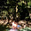 Morgana Brunner avatar