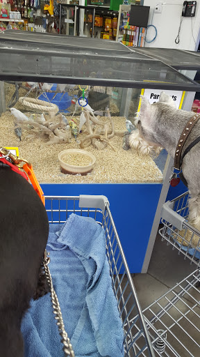 Pet Supply Store «Pet Food Center», reviews and photos, 2243 Lowes Dr E, Clarksville, TN 37043, USA