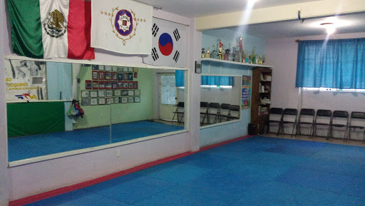 Escuela Chonkwon Taekwondo, Calle Barca de Oro 152, Benito Juárez, 57000 Nezahualcóyotl, Méx., México, Escuela de taekuondo | EDOMEX