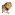Pejantan