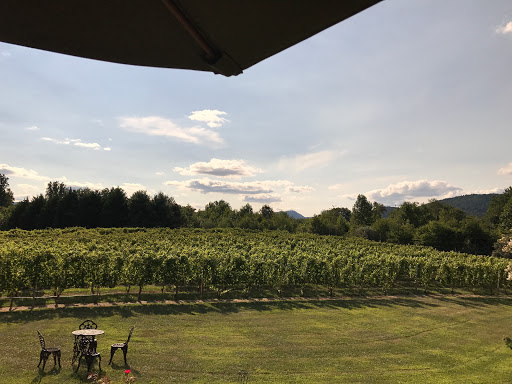 Winery «Gadino Cellars», reviews and photos, 92 School House Rd, Washington, VA 22747, USA