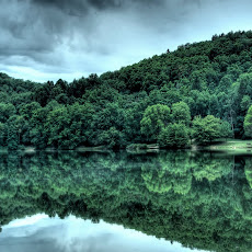 Foto-Foto Hutan Tropis Lebat dan Indah Seen On www.coolpicturegallery.us Foto-Foto Hutan Tropis Lebat dan Indah Seen On www.coolpicturegallery.us