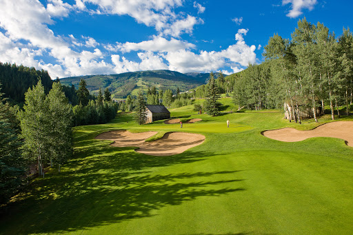 103 Offerson Rd, Beaver Creek, CO 81620, USA