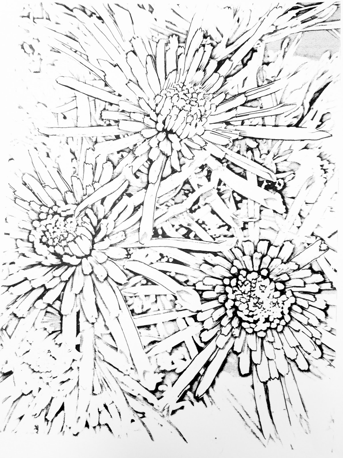 40 Free e-coloring books to download Color Your Own - download coloring pages for adults