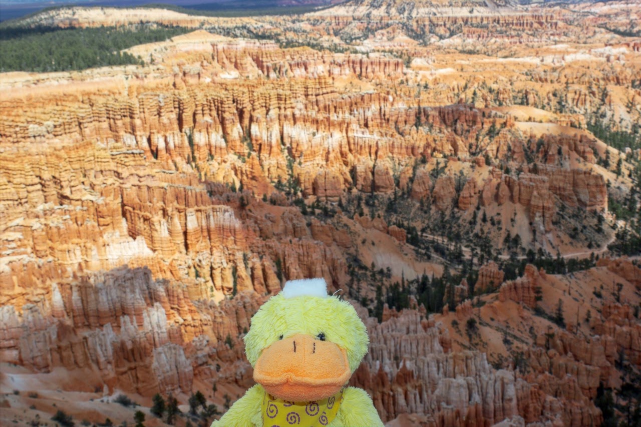 Día 11: Visita a Bryce y llegada a Zion - Parques nacionales del oeste de EEUU and more (40)