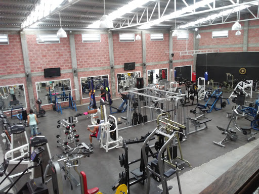 Golden Bull Gym, 38200, Leona Vicario 6a, Zona Centro, Comonfort, Gto., México, Gimnasio | GTO