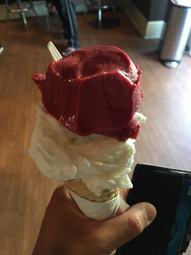 Ice Cream Shop «Belgian Gelato», reviews and photos, 6 Vendue Range, Charleston, SC 29401, USA