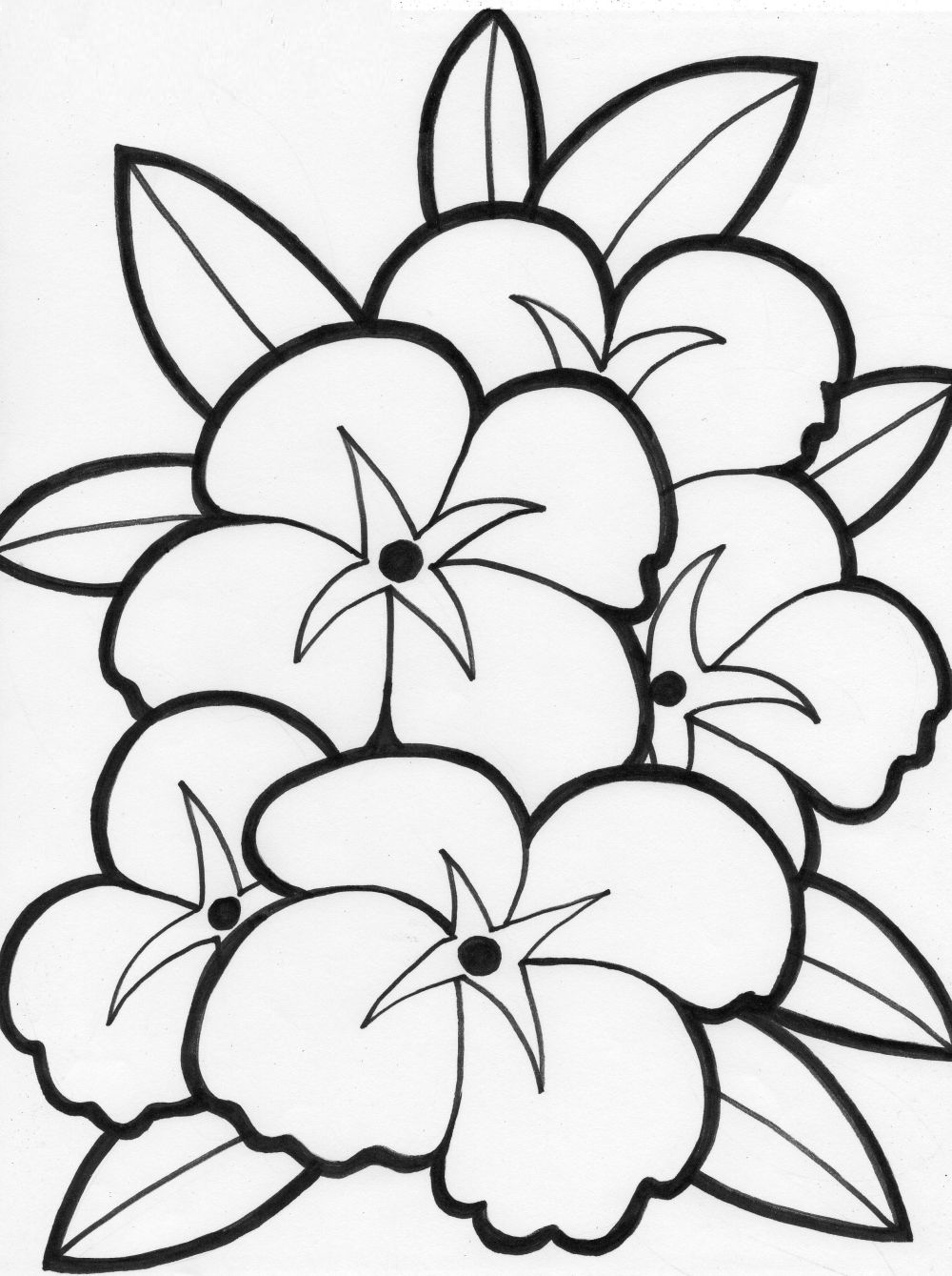 Free Flower Coloring Pages Education - free flower printable coloring pages