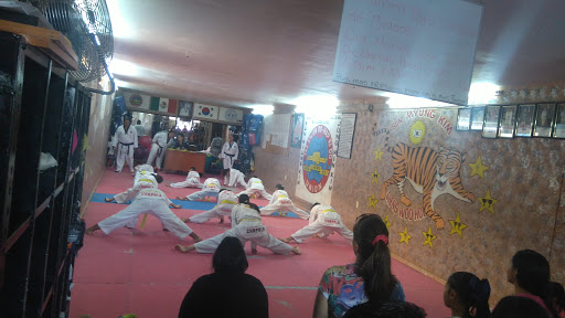 Escuela de Taekwondo Prof. Francisco Gutierrez, 45900, San Marcos 90, Tepehua, Chapala, Jal., México, Escuela de taekuondo | JAL