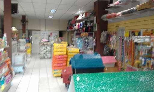 Pet Shop Iung, Av. Irineu Bornhausen, 372 - São João, Itajaí - SC, 88305-000, Brasil, Loja_de_animais, estado Santa Catarina