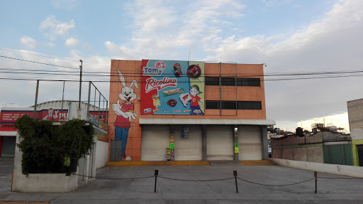 El Puma Abarrotero, Hda. del Pedregal 16, Pedregal de Atizapan, 52948 Cd López Mateos, Méx., México, Tienda de golosinas | EDOMEX