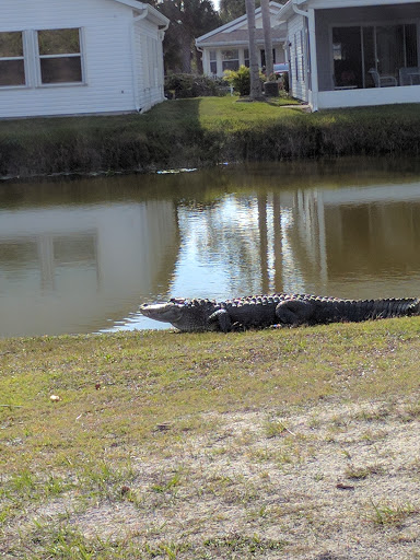 Public Golf Course «The Great Outdoors Golf», reviews and photos, 137 Plantation Dr, Titusville, FL 32780, USA