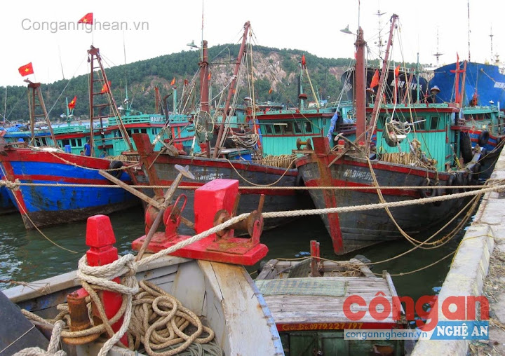 Tàu thuyền của ngư dân đậu tạm dọc cầu cảng gây khó khăn cho việc khai thác cảng