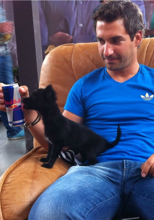 Тимо Глок с собачкой и банкой Red Bull