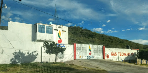 Gas Tecomatlán, Carretera Palomas - Tlapa Kilometro 18.75, Tecomatlán, 74870 Tecomatlan, Pue., México, Servicio de distribución | PUE