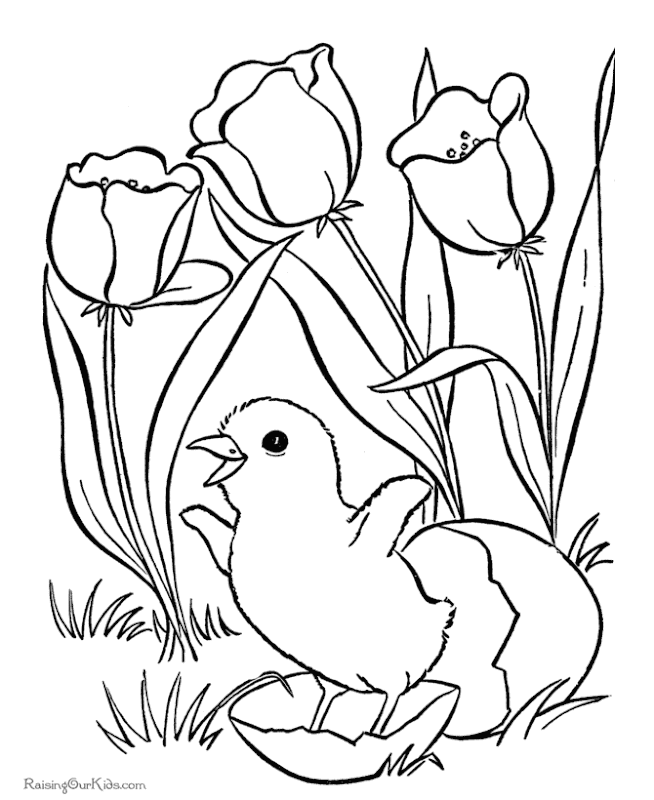 Garden Flowers Coloring Book (Dover Nature Coloring - flowers coloring pages for adults