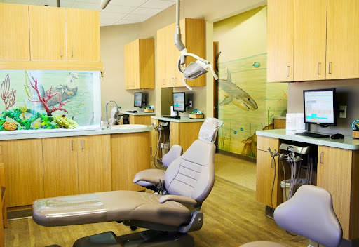 Pediatric Dentist «Sunrise Pediatric Dentistry», reviews and photos