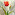 Hossein