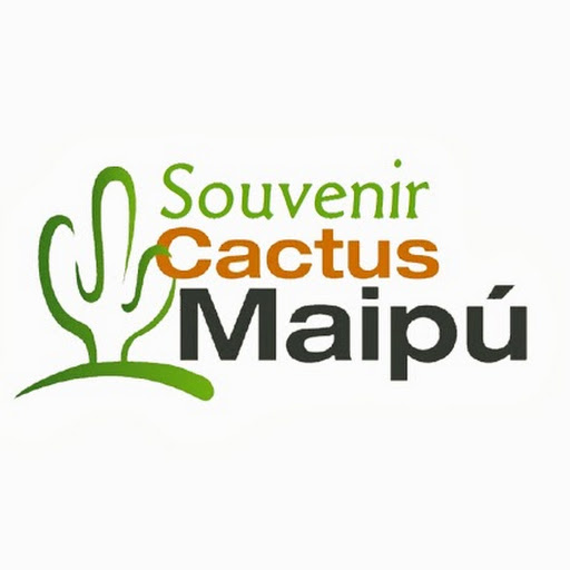 Mi foto