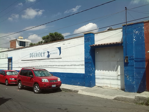 Colegio Decroly, Calle 9 Ote. 3, Cholula, 72760 Cholula de Rivadabia, Pue., México, Escuela privada | PUE