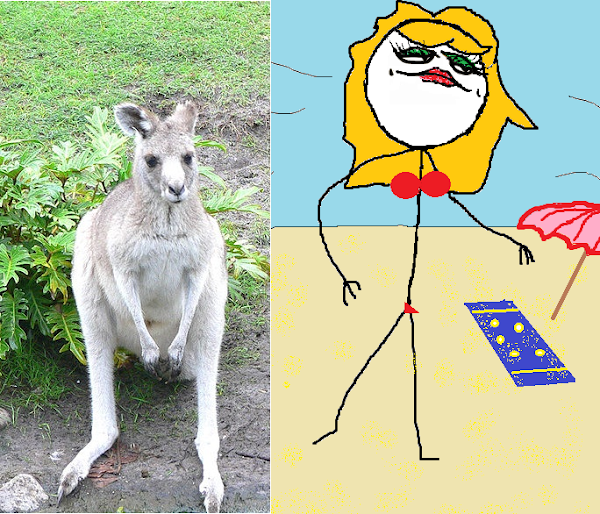 bikini babe and kangaroo