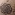 Dick