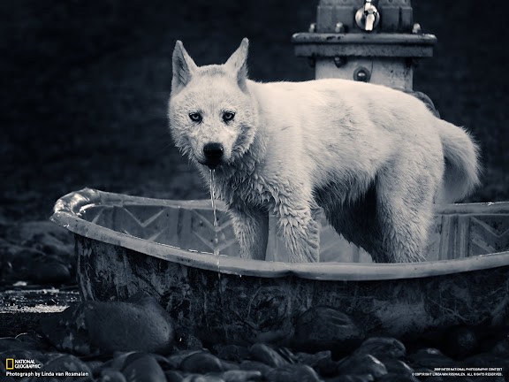  National Geographic