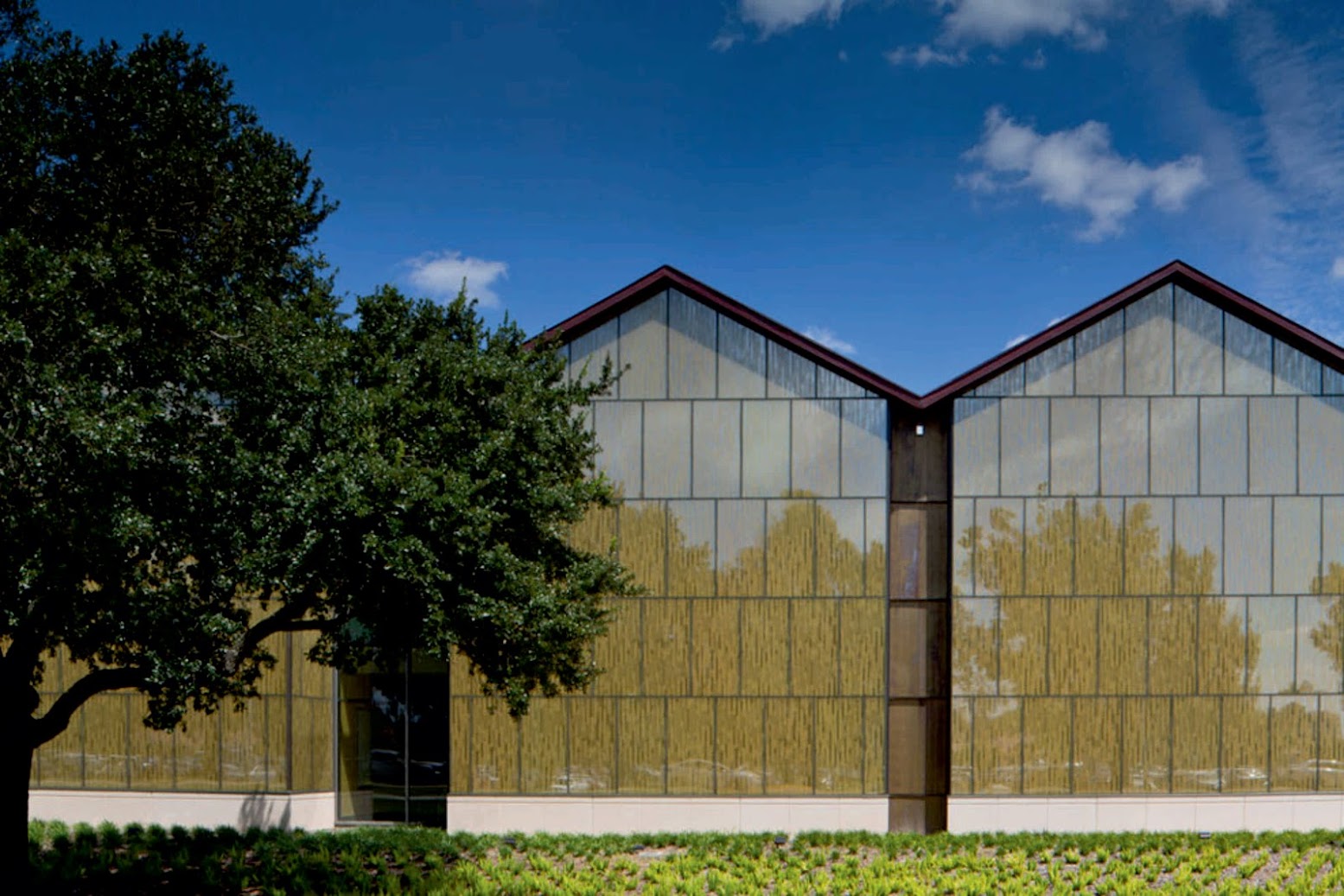 Ikon.5 Architects