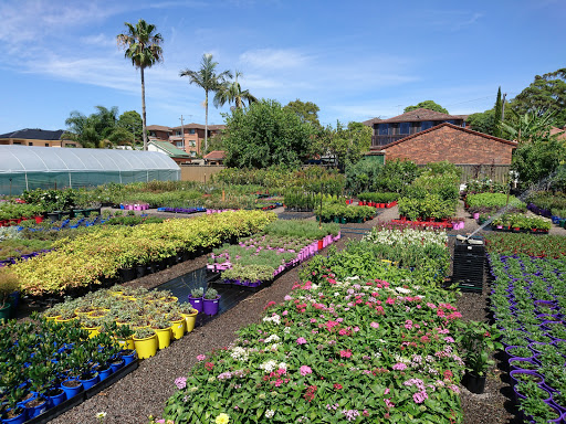 Bayside Garden Centre Plant Nursery 41 Beach St Kogarah Nsw