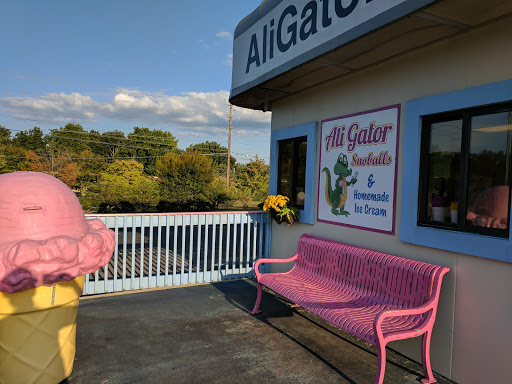 Restaurant «AliGators Snoballs & Homemade Ice Cream», reviews and photos, 830 E Williams St, Apex, NC 27502, USA