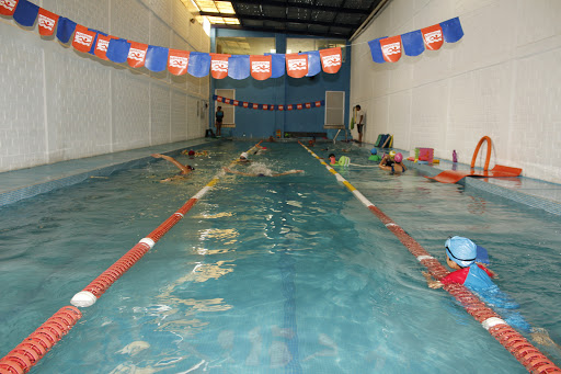 Escuela de Natación Aquaviva, Calle Paseo de Los Cedros 20, La Floresta, 59616 Zamora, Mich., México, Club de natación | MICH