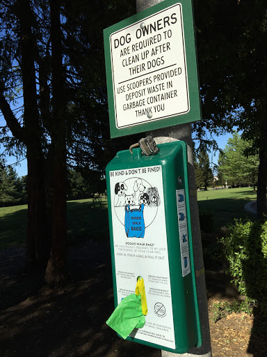 Park «Jollyman Park», reviews and photos, 1000 S Stelling Rd, Cupertino, CA 95014, USA