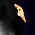 Nida Firdausi avatar