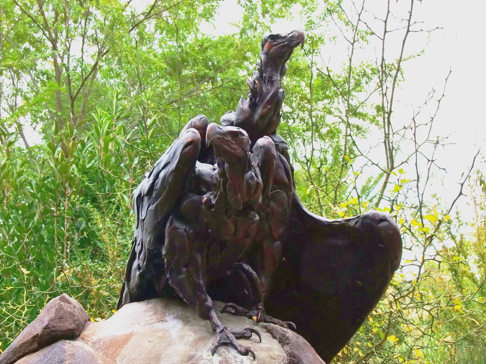 Zoo Art | Zoo art, Zoo, Art