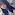 江籠裕奈