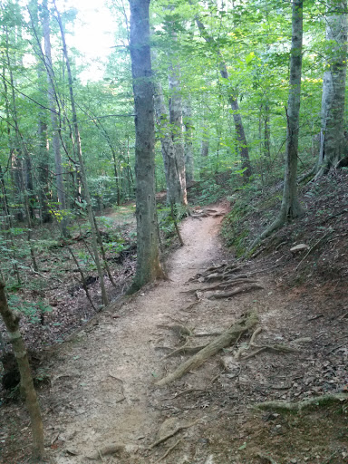 Hiking Area «Gold Branch Trail», reviews and photos, 6156 Lower Roswell Rd, Marietta, GA 30068, USA