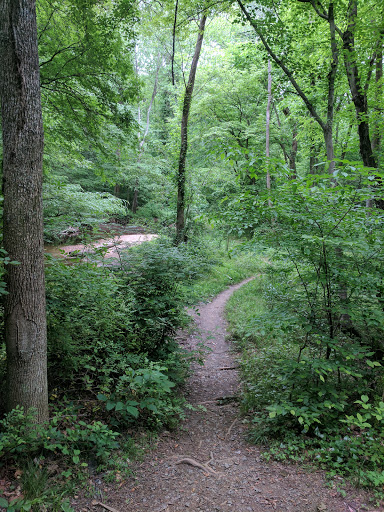 Park «Holmes Run Stream Valley Park», reviews and photos, 3437 Charleson St, Annandale, VA 22003, USA