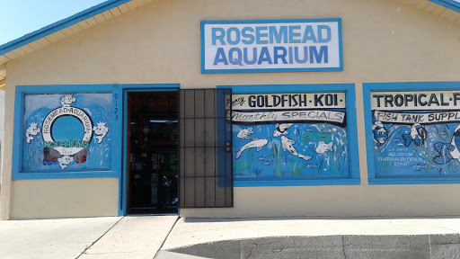 Tropical Fish Store «Rosemead Aquarium», reviews and photos, 9123 Valley Blvd, Rosemead, CA 91770, USA