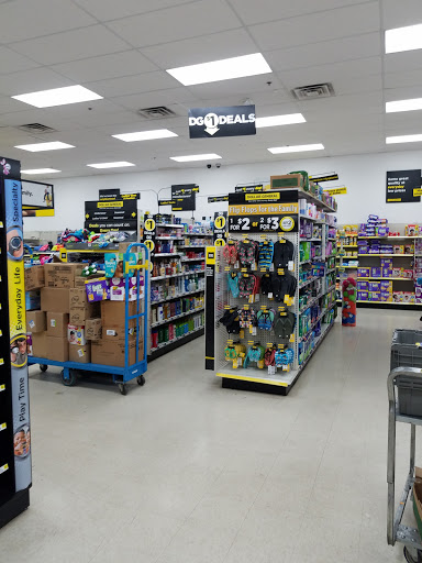 Discount Store «Dollar General», reviews and photos, 10633 W Peoria Ave, Sun City, AZ 85351, USA