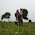 Mrs Pip avatar