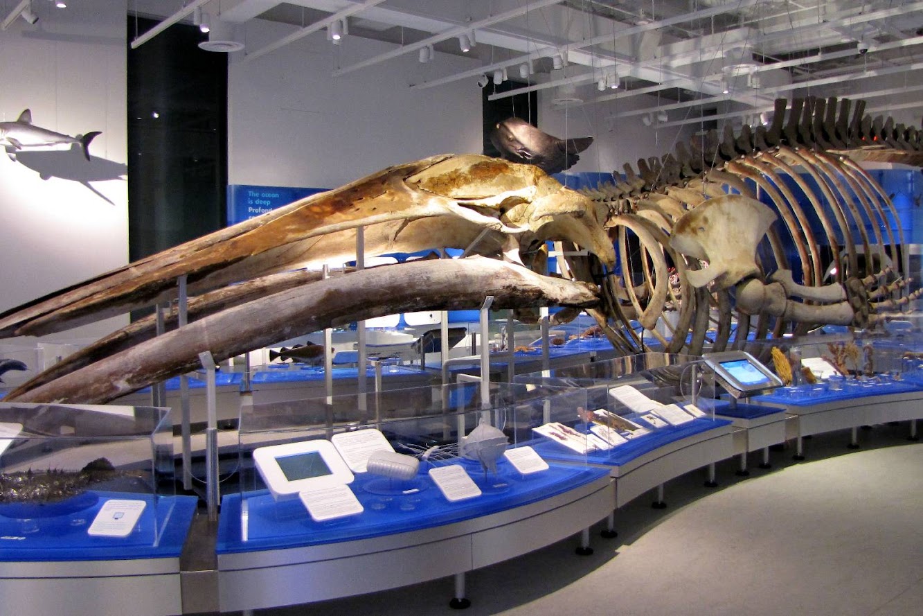 15 Canadian Museum of Nature by Kpmb Architects