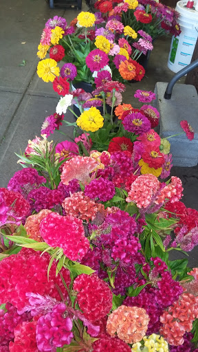 Florist «Osterbrock Greenhouse & Florist», reviews and photos, 4848 Gray Rd, Cincinnati, OH 45232, USA