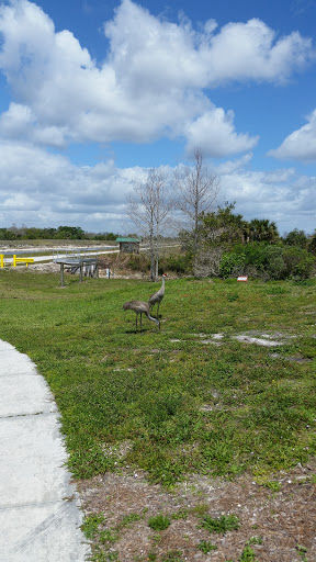 Nature Preserve «Karen T. Marcus Sandhill Crane Access Park», reviews and photos, 8175 PGA Boulevard, Palm Beach Gardens, FL 33418, USA