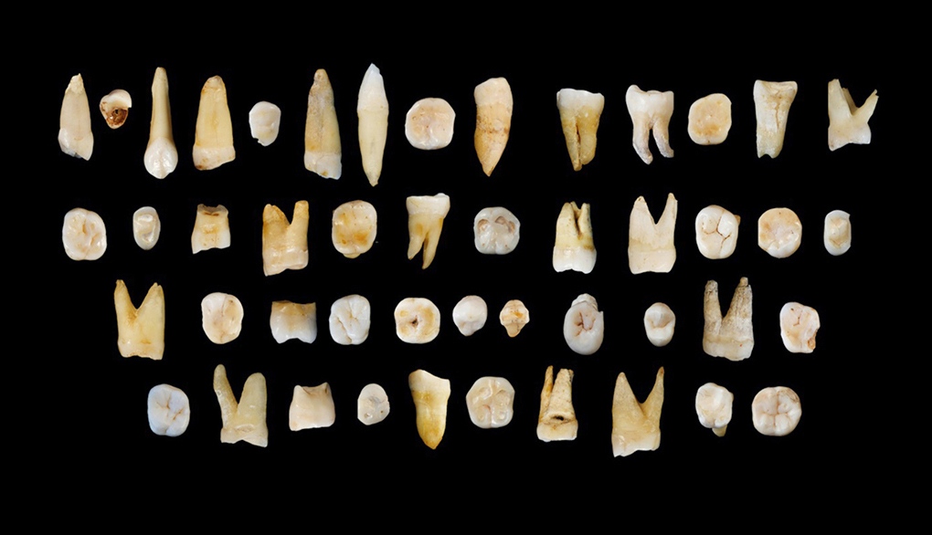 How China is rewriting the book on human origins How China is rewriting the book on human origins