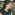isabela