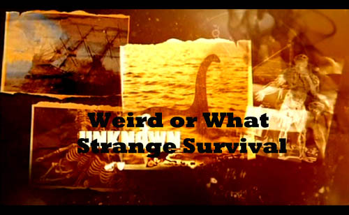 Wyjaśnić niewyjaśnione Cudowny upadek / Weird or What Strange Survival (2010) PL.TVRip.XviD / Lektor PL Wyjaśnić niewyjaśnione Cudowny upadek / Weird or What Strange Survival (2010) PL.TVRip.XviD / Lektor PL