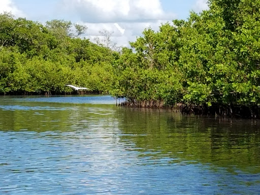 Nature Preserve «Robinson Preserve (Main Entrance)», reviews and photos, 2198 99th St NW, Bradenton, FL 34209, USA