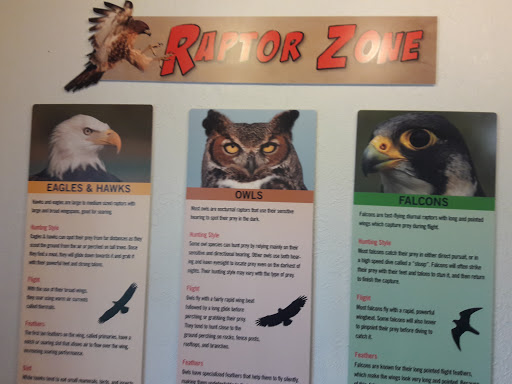 Zoo «Audubon Center for Birds of Prey», reviews and photos, 1101 Audubon Way, Maitland, FL 32751, USA