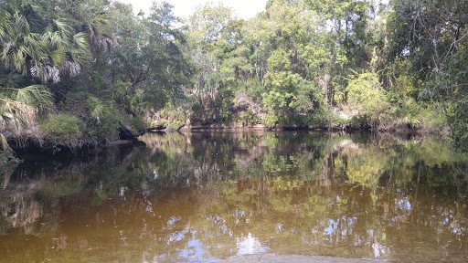 Nature Preserve «Rye Preserve», reviews and photos, 905 Rye Wilderness Trail, Parrish, FL 34219, USA